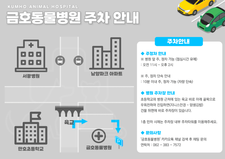 금호동물병원 주차장 안내