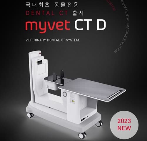 정밀 진단